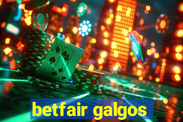 betfair galgos